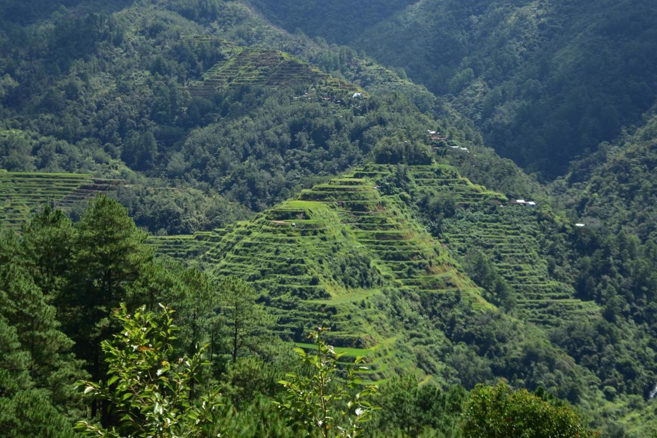 Hiwang Native House Inn & Viewdeck バナウェ エクステリア 写真